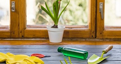 Letnie oczyszczenie: 10 prostych sposobów na utrzymanie porządku w domu-2769